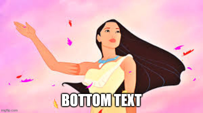 POCAHONTAS | BOTTOM TEXT | image tagged in pocahontas | made w/ Imgflip meme maker