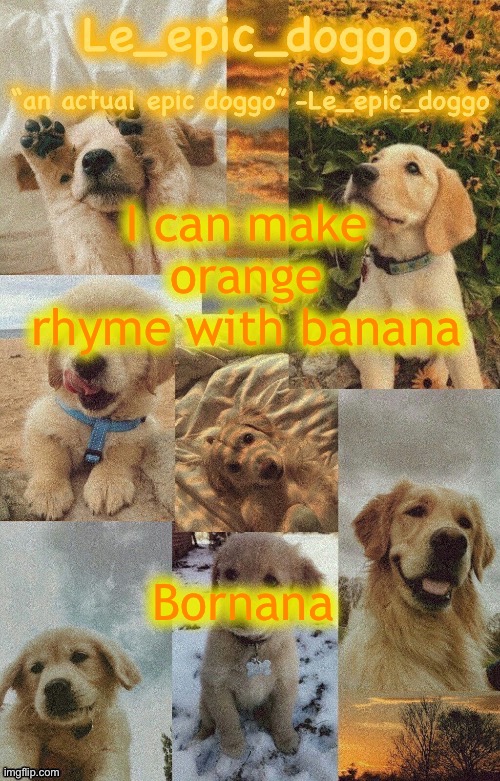 Doggo temp by doggo. Wait what that’s confusing | I can make orange rhyme with banana; Bornana | image tagged in doggo temp by doggo wait what that s confusing | made w/ Imgflip meme maker