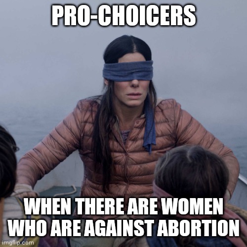 Bird Box Meme | PRO-CHOICERS WHEN THERE ARE WOMEN WHO ARE AGAINST ABORTION | image tagged in memes,bird box | made w/ Imgflip meme maker