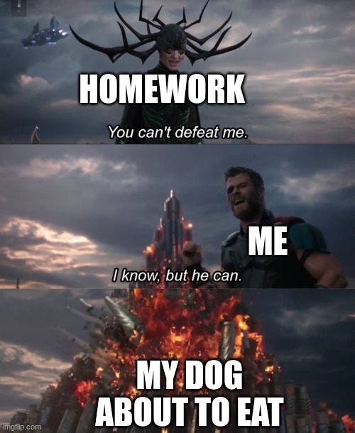 school | HOMEWORK; ME; MY DOG ABOUT TO EAT | image tagged in you can't defeat me | made w/ Imgflip meme maker