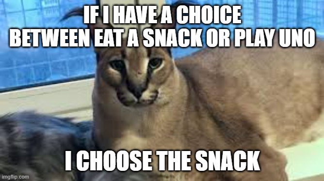 floppa | IF I HAVE A CHOICE BETWEEN EAT A SNACK OR PLAY UNO; I CHOOSE THE SNACK | image tagged in floppa | made w/ Imgflip meme maker