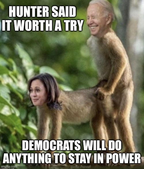 Democrats will do anything | HUNTER SAID IT WORTH A TRY; DEMOCRATS WILL DO ANYTHING TO STAY IN POWER | image tagged in monkey around,oprah you get a,meme,gif,funjy | made w/ Imgflip meme maker