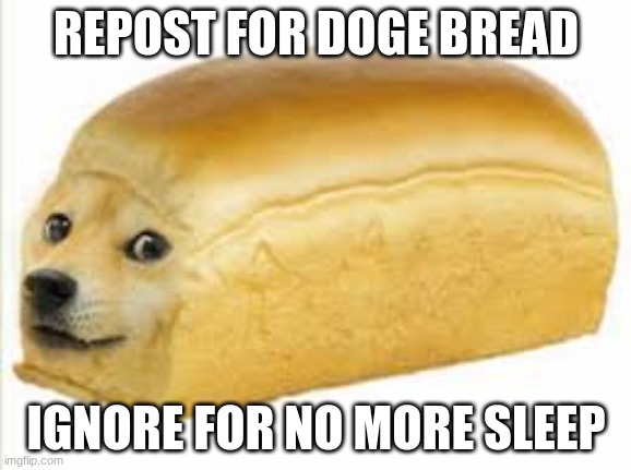 We all like sleep, don't we? | REPOST FOR DOGE BREAD; IGNORE FOR NO MORE SLEEP | image tagged in doge bread | made w/ Imgflip meme maker