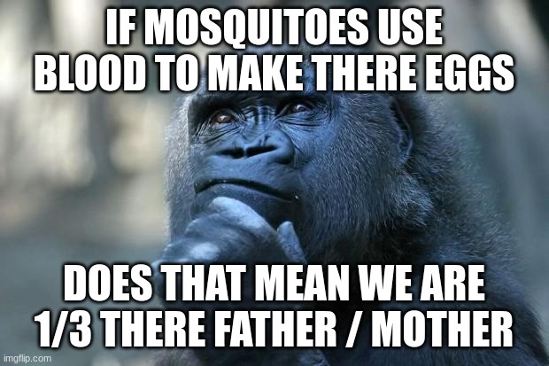 this is not my thought its from a cringe app called tiktok | IF MOSQUITOES USE BLOOD TO MAKE THERE EGGS; DOES THAT MEAN WE ARE 1/3 THERE FATHER / MOTHER | image tagged in deep thoughts,shower thoughts | made w/ Imgflip meme maker