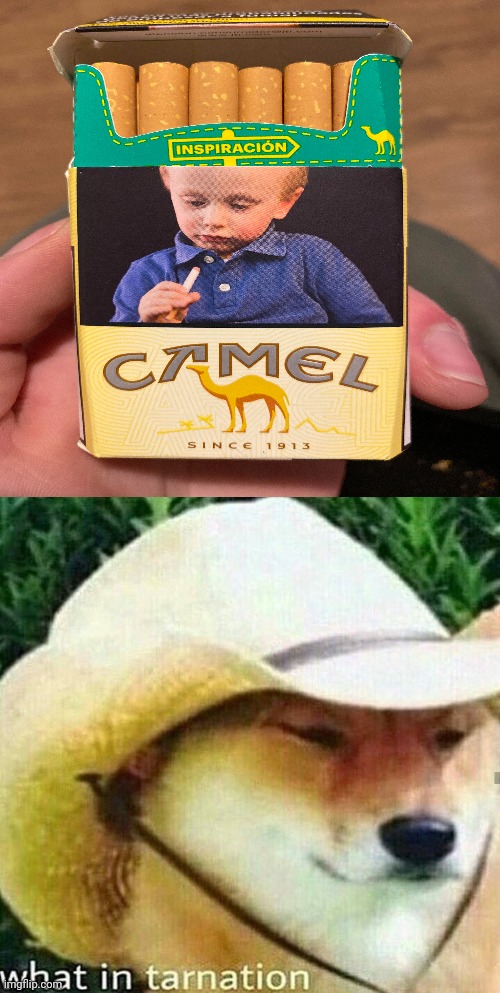 A kid | image tagged in what in tarnation dog,cigarette,cigarettes,you had one job,memes,meme | made w/ Imgflip meme maker