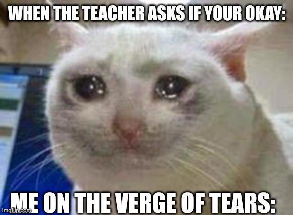 Sad cat | WHEN THE TEACHER ASKS IF YOUR OKAY:; ME ON THE VERGE OF TEARS: | image tagged in sad cat | made w/ Imgflip meme maker