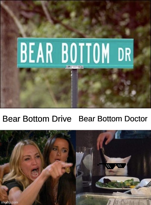  Bear Bottom Drive; Bear Bottom Doctor | image tagged in memes,woman yelling at cat,confession bear | made w/ Imgflip meme maker