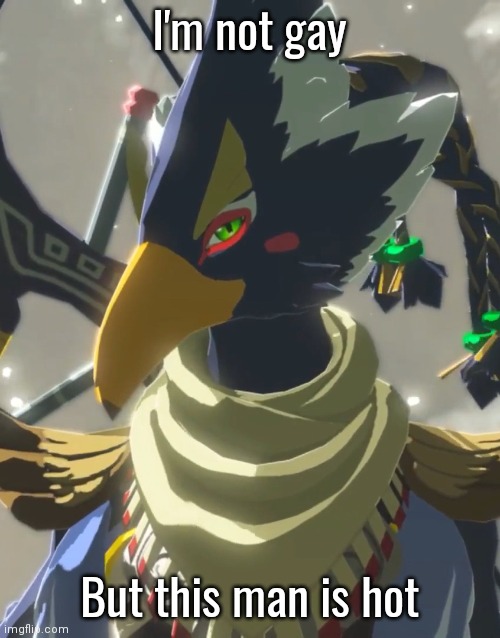 Revali | I'm not gay; But this man is hot | image tagged in revali | made w/ Imgflip meme maker