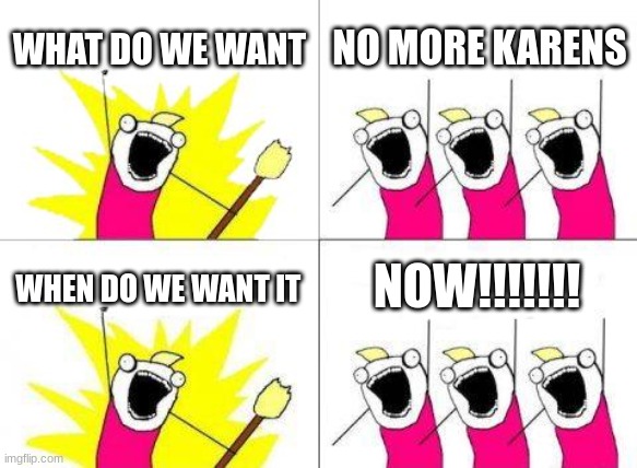 What Do We Want | WHAT DO WE WANT; NO MORE KARENS; NOW!!!!!!! WHEN DO WE WANT IT | image tagged in memes,what do we want | made w/ Imgflip meme maker