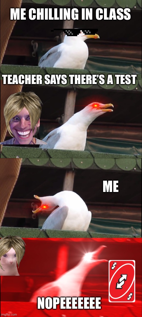 Inhaling Seagull Meme | ME CHILLING IN CLASS; TEACHER SAYS THERE’S A TEST; ME; NOPEEEEEEE | image tagged in memes,inhaling seagull | made w/ Imgflip meme maker