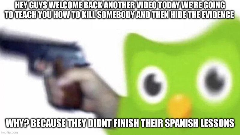 duolingo gun | HEY GUYS WELCOME BACK ANOTHER VIDEO TODAY WE'RE GOING TO TEACH YOU HOW TO KILL SOMEBODY AND THEN HIDE THE EVIDENCE; WHY? BECAUSE THEY DIDNT FINISH THEIR SPANISH LESSONS | image tagged in duolingo gun | made w/ Imgflip meme maker