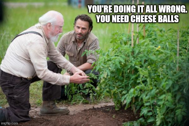 Walking Dead garden | YOU'RE DOING IT ALL WRONG.
YOU NEED CHEESE BALLS | image tagged in walking dead garden | made w/ Imgflip meme maker