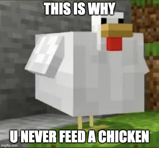 VERY bad idea | THIS IS WHY; U NEVER FEED A CHICKEN | image tagged in cursed chicken | made w/ Imgflip meme maker