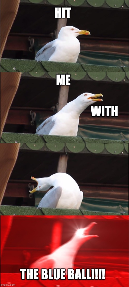 Inhaling Seagull Meme | HIT; ME; WITH; THE BLUE BALL!!!! | image tagged in memes,inhaling seagull | made w/ Imgflip meme maker