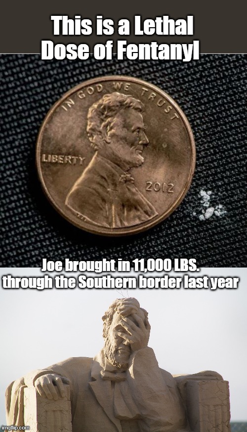 Even Hunter was impressed | This is a Lethal Dose of Fentanyl; Joe brought in 11,000 LBS. through the Southern border last year | image tagged in memes,secure the border,drugs | made w/ Imgflip meme maker