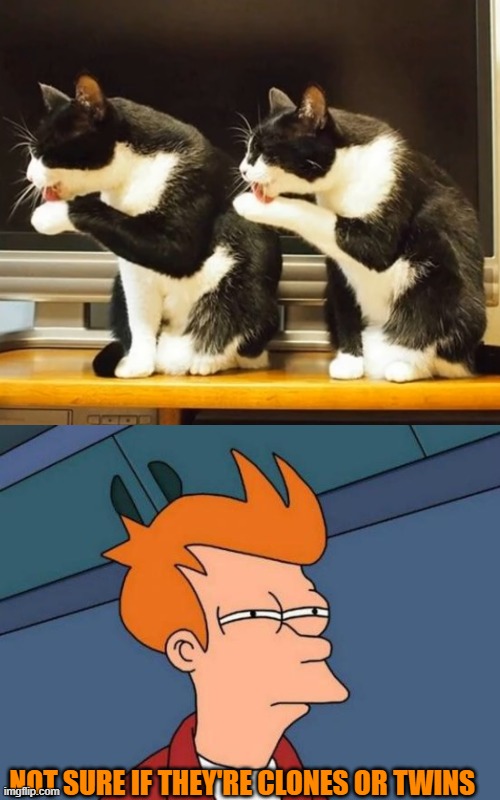 NOT SURE IF THEY'RE CLONES OR TWINS | image tagged in memes,futurama fry | made w/ Imgflip meme maker