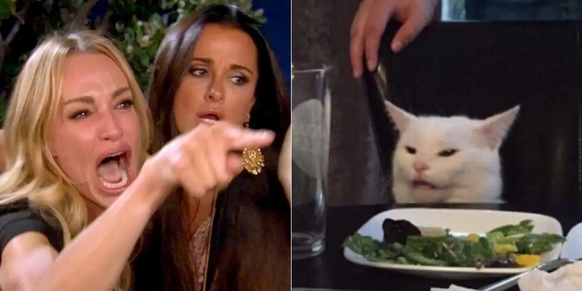Woman Yelling AT Cat Bigger Blank Meme Template