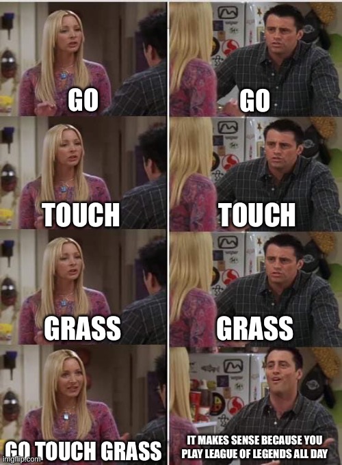 Phoebe Joey | GO; GO; TOUCH; TOUCH; GRASS; GRASS; IT MAKES SENSE BECAUSE YOU PLAY LEAGUE OF LEGENDS ALL DAY; GO TOUCH GRASS | image tagged in phoebe joey,league of legends | made w/ Imgflip meme maker
