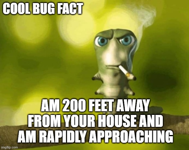 Green bug | COOL BUG FACT; AM 200 FEET AWAY FROM YOUR HOUSE AND AM RAPIDLY APPROACHING | image tagged in green bug | made w/ Imgflip meme maker