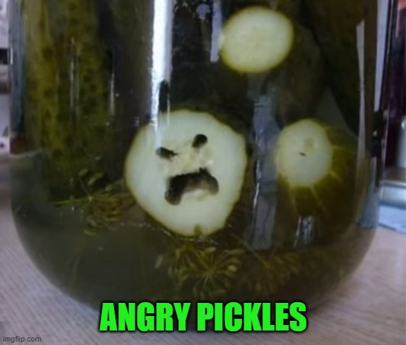 ANGRY PICKLES | image tagged in pickles | made w/ Imgflip meme maker