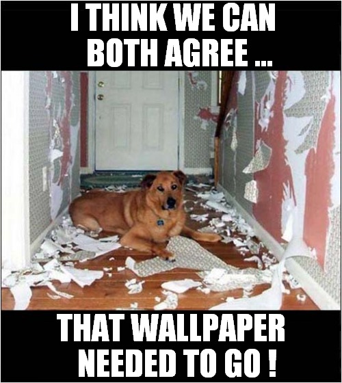 No Need To Thank Me ! |  I THINK WE CAN
  BOTH AGREE ... THAT WALLPAPER
  NEEDED TO GO ! | image tagged in dogs,no need to thank me,wallpapers,destruction | made w/ Imgflip meme maker