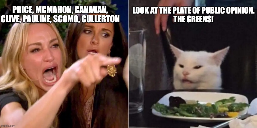 Woman Yelling AT Cat Bigger | LOOK AT THE PLATE OF PUBLIC OPINION.
THE GREENS! PRICE, MCMAHON, CANAVAN,
CLIVE, PAULINE, SCOMO, CULLERTON | image tagged in woman yelling at cat bigger | made w/ Imgflip meme maker