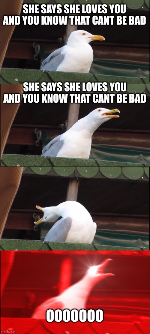 Inhaling Seagull | SHE SAYS SHE LOVES YOU AND YOU KNOW THAT CANT BE BAD; SHE SAYS SHE LOVES YOU AND YOU KNOW THAT CANT BE BAD; OOOOOOO | image tagged in memes,inhaling seagull | made w/ Imgflip meme maker