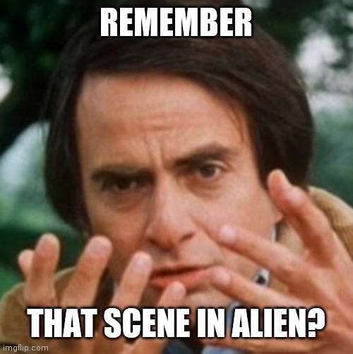 Carl Sagan Billions | REMEMBER THAT SCENE IN ALIEN? | image tagged in carl sagan billions | made w/ Imgflip meme maker