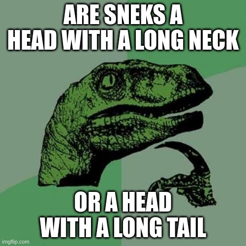 SNEK | ARE SNEKS A HEAD WITH A LONG NECK; OR A HEAD WITH A LONG TAIL | image tagged in memes,philosoraptor,snek,ur mom gay,why are you reading this | made w/ Imgflip meme maker