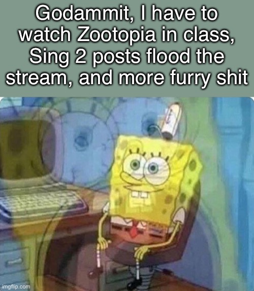 When will this end | Godammit, I have to watch Zootopia in class, Sing 2 posts flood the stream, and more furry shit | image tagged in spongebob screaming inside | made w/ Imgflip meme maker