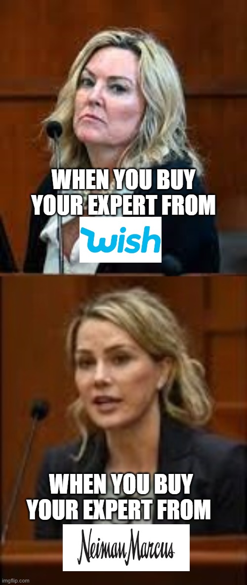 WHEN YOU BUY YOUR EXPERT FROM; WHEN YOU BUY YOUR EXPERT FROM | image tagged in amber heard,johnny depp,depp trial | made w/ Imgflip meme maker