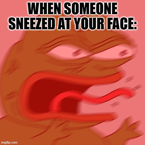REEEEEEE |  WHEN SOMEONE SNEEZED AT YOUR FACE: | image tagged in rage pepe | made w/ Imgflip meme maker