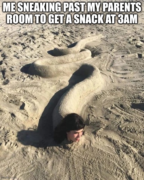 Time for a snack | ME SNEAKING PAST MY PARENTS ROOM TO GET A SNACK AT 3AM | image tagged in sneaky boi | made w/ Imgflip meme maker