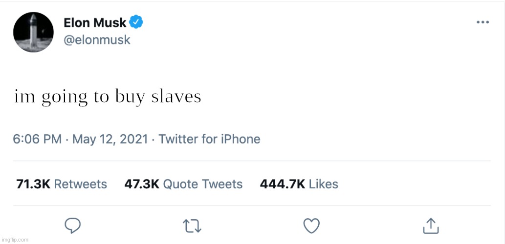 Elon Musk Blank Tweet | im going to buy slaves | image tagged in elon musk blank tweet | made w/ Imgflip meme maker