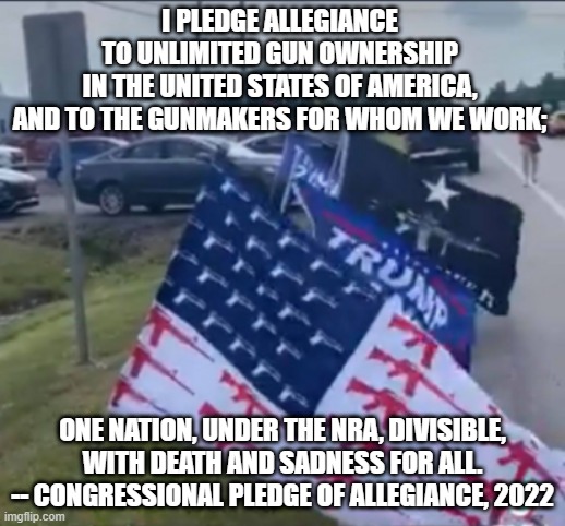Gun pledge | I PLEDGE ALLEGIANCE 
TO UNLIMITED GUN OWNERSHIP 
IN THE UNITED STATES OF AMERICA, 
AND TO THE GUNMAKERS FOR WHOM WE WORK;; ONE NATION, UNDER THE NRA, DIVISIBLE, WITH DEATH AND SADNESS FOR ALL.
-- CONGRESSIONAL PLEDGE OF ALLEGIANCE, 2022 | image tagged in gun flag,gun control,congress | made w/ Imgflip meme maker