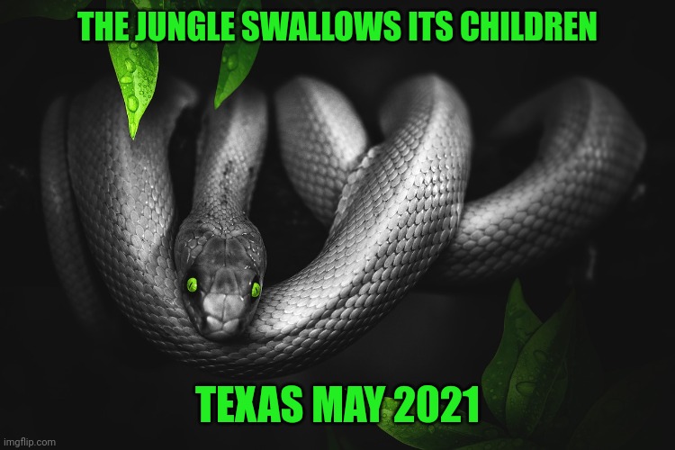 Texas killing | THE JUNGLE SWALLOWS ITS CHILDREN; TEXAS MAY 2021 | image tagged in guns | made w/ Imgflip meme maker