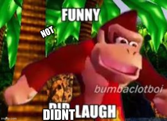 funny did laugh | NOT DIDNT | image tagged in funny did laugh | made w/ Imgflip meme maker