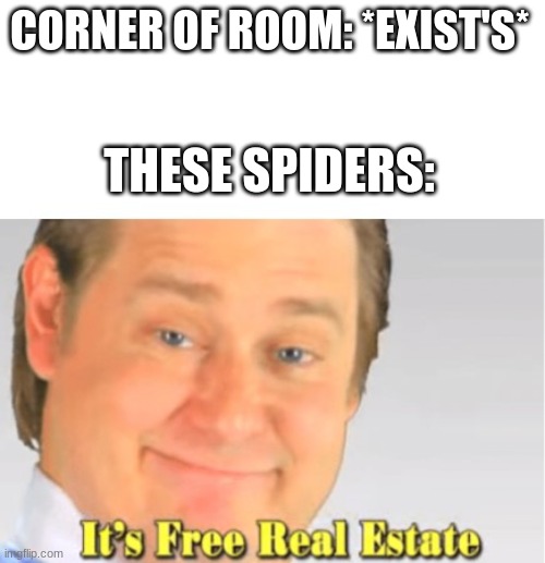 It's Free Real Estate | CORNER OF ROOM: *EXIST'S*; THESE SPIDERS: | image tagged in it's free real estate | made w/ Imgflip meme maker