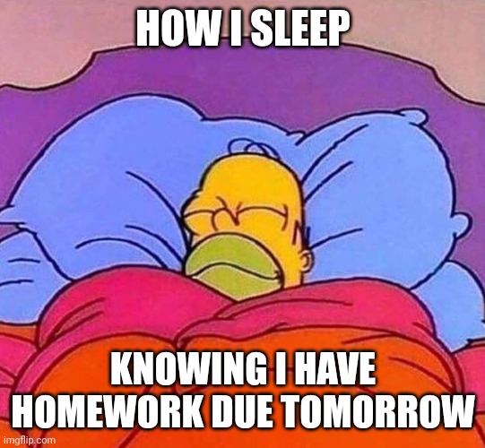 How I Sleep | HOW I SLEEP; KNOWING I HAVE HOMEWORK DUE TOMORROW | image tagged in homer simpson sleeping peacefully,memes,funny | made w/ Imgflip meme maker
