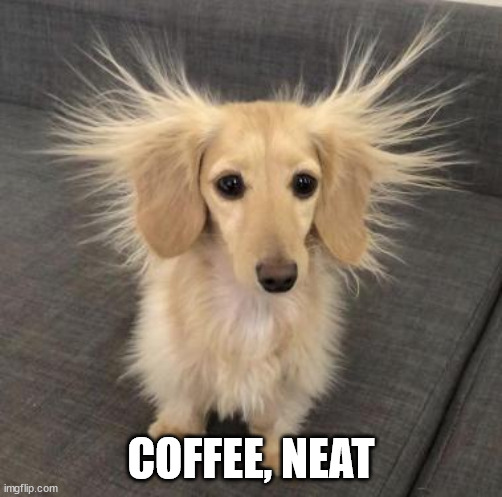 dog hair sticks up | COFFEE, NEAT | image tagged in dog hair sticks up | made w/ Imgflip meme maker