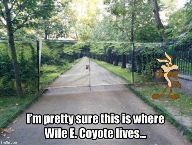 image tagged in funny,wile e coyote | made w/ Imgflip meme maker