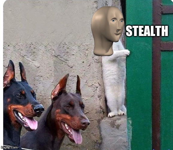 Hidden cat | STEALTH | image tagged in hidden cat | made w/ Imgflip meme maker