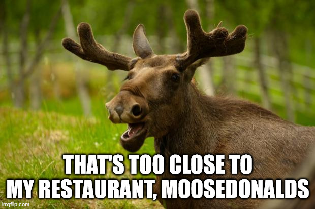 Bad Pun Moose | THAT'S TOO CLOSE TO MY RESTAURANT, MOOSEDONALDS | image tagged in bad pun moose | made w/ Imgflip meme maker