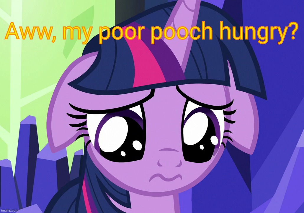 Sad Twilight (MLP) | Aww, my poor pooch hungry? | image tagged in sad twilight mlp | made w/ Imgflip meme maker