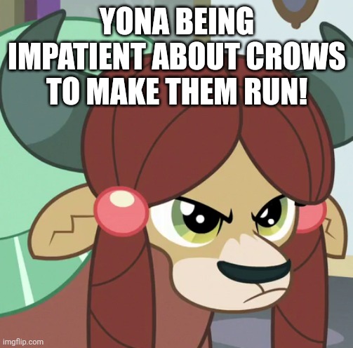 YONA BEING IMPATIENT ABOUT CROWS TO MAKE THEM RUN! | made w/ Imgflip meme maker
