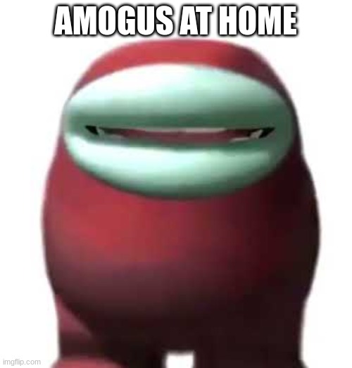 Amogus Sussy | AMOGUS AT HOME | image tagged in amogus sussy | made w/ Imgflip meme maker