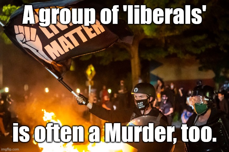 democrats being democrats | A group of 'liberals' is often a Murder, too. | image tagged in democrats being democrats | made w/ Imgflip meme maker