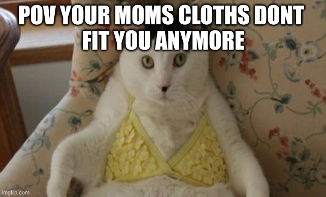 epic memer69 | POV YOUR MOMS CLOTHS DONT 
FIT YOU ANYMORE | image tagged in 420 | made w/ Imgflip meme maker
