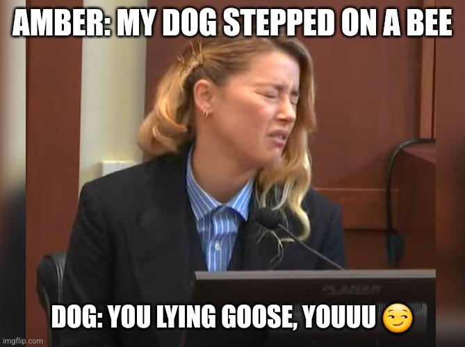 amber heard dog stepped on a bee Memes & GIFs - Imgflip