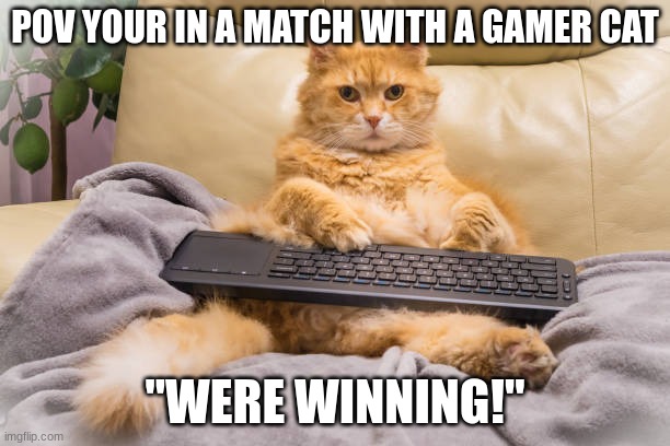 gamer girl | POV YOUR IN A MATCH WITH A GAMER CAT; "WERE WINNING!" | image tagged in 69 | made w/ Imgflip meme maker